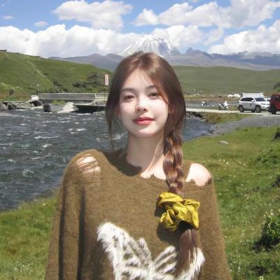 齐姆与友